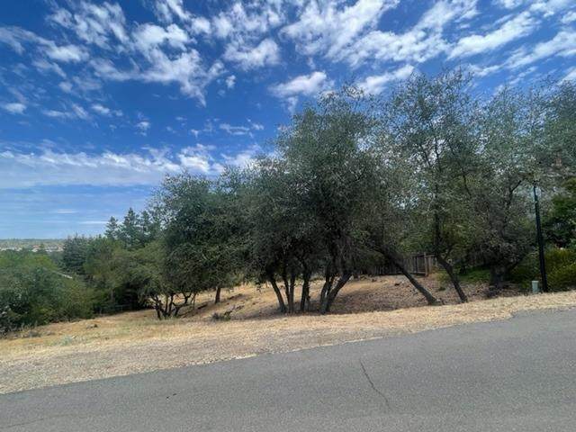 3235 Wilkinson Road - Photo 1