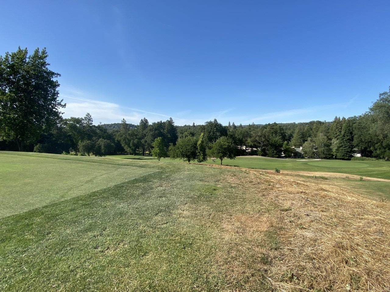 18488 Lake Forest Drive - Photo 1