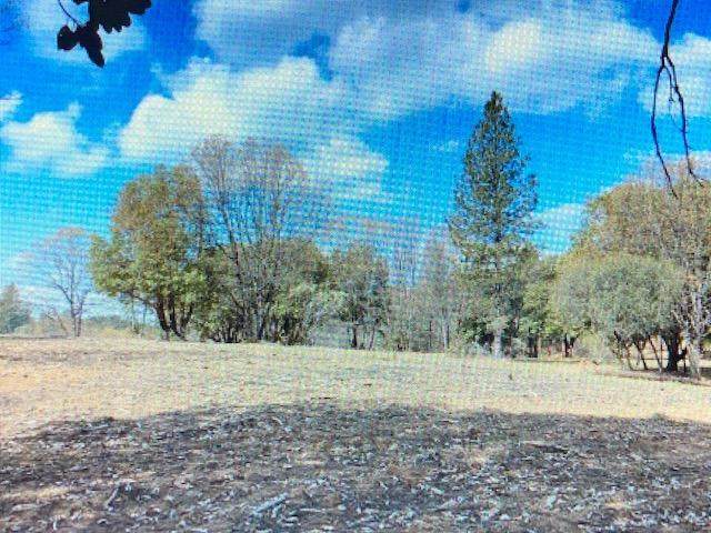 13452 Tyler Foote Road - Photo 1