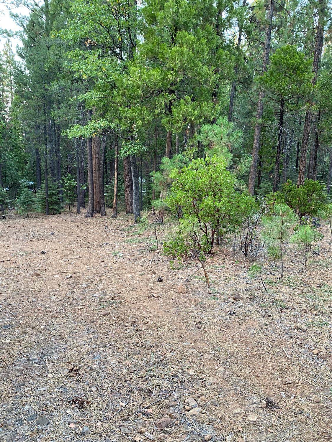 0 Timber Hill Drive Lot 34 - Photo 1