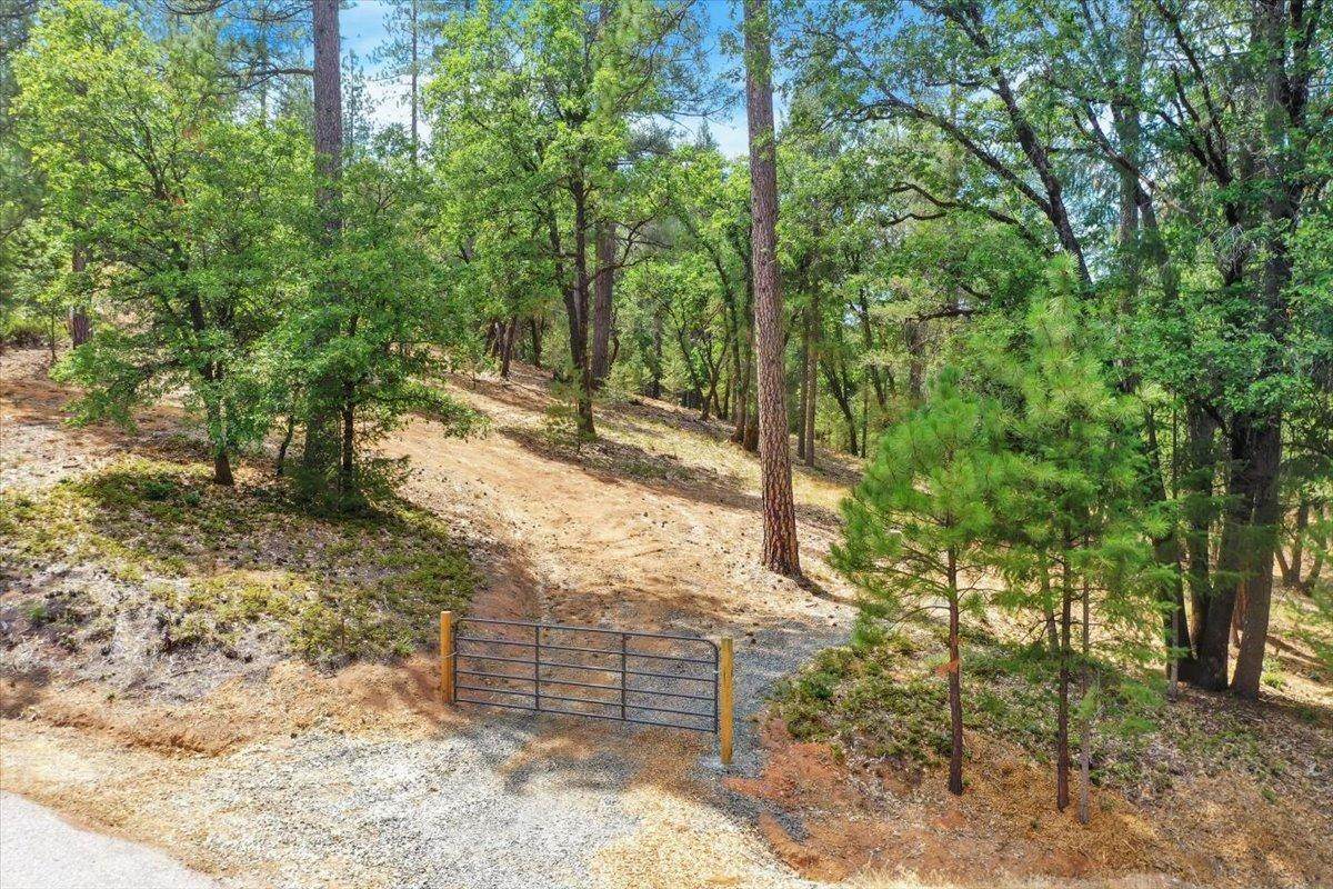 12774 Hoppy Hollow Road - Photo 1