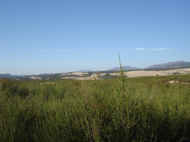 10 Piney Creek Road - Photo 1