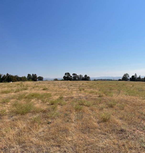 8954 Daguerra Point Drive - Photo 1