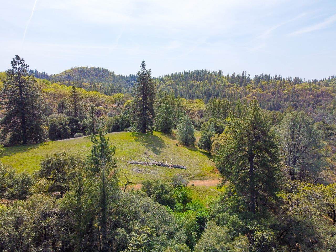 1200 Moffett Ranch Road - Photo 1