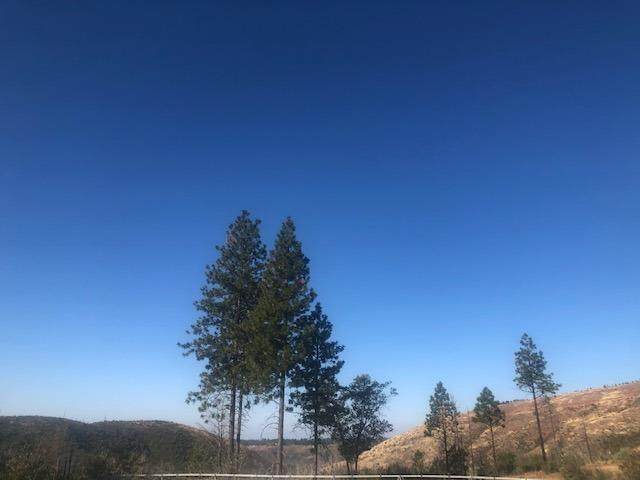 13473 Hog Ranch Road - Photo 1