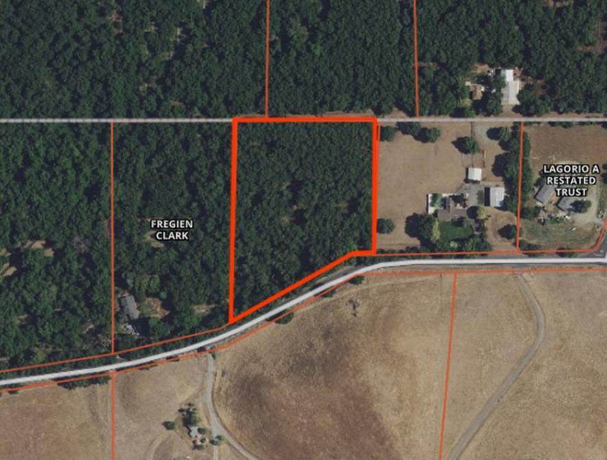 29389 Shelton Road - Photo 1