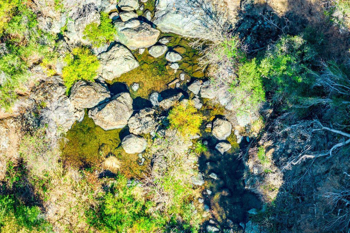 1000 Hiwon Trail - Photo 1