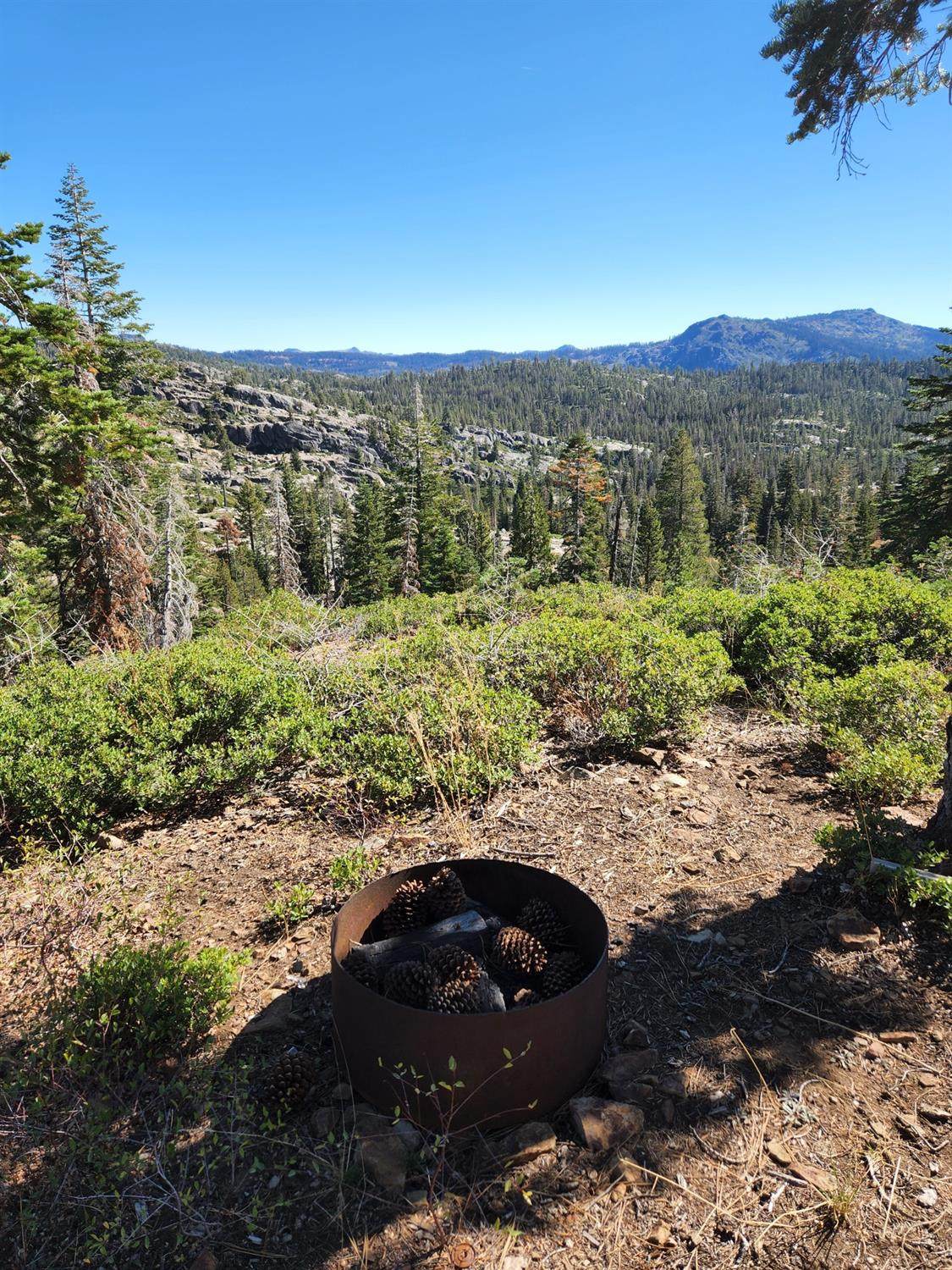 0 Forest Route 19 - Photo 1