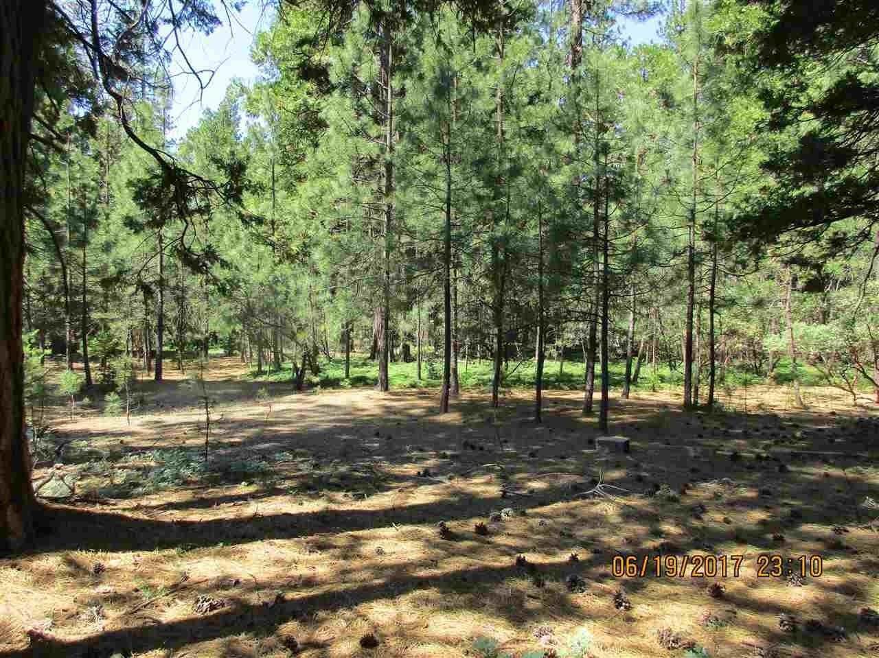 27405 State Highway 88 - Photo 1