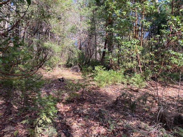 0 Foresthill Rd - Photo 1