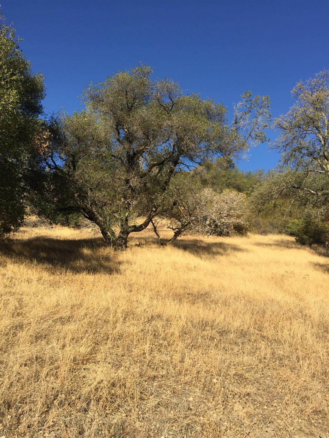 https://bt-photos.global.ssl.fastly.net/sacramento/orig_boomver_1_560443194-2.jpg