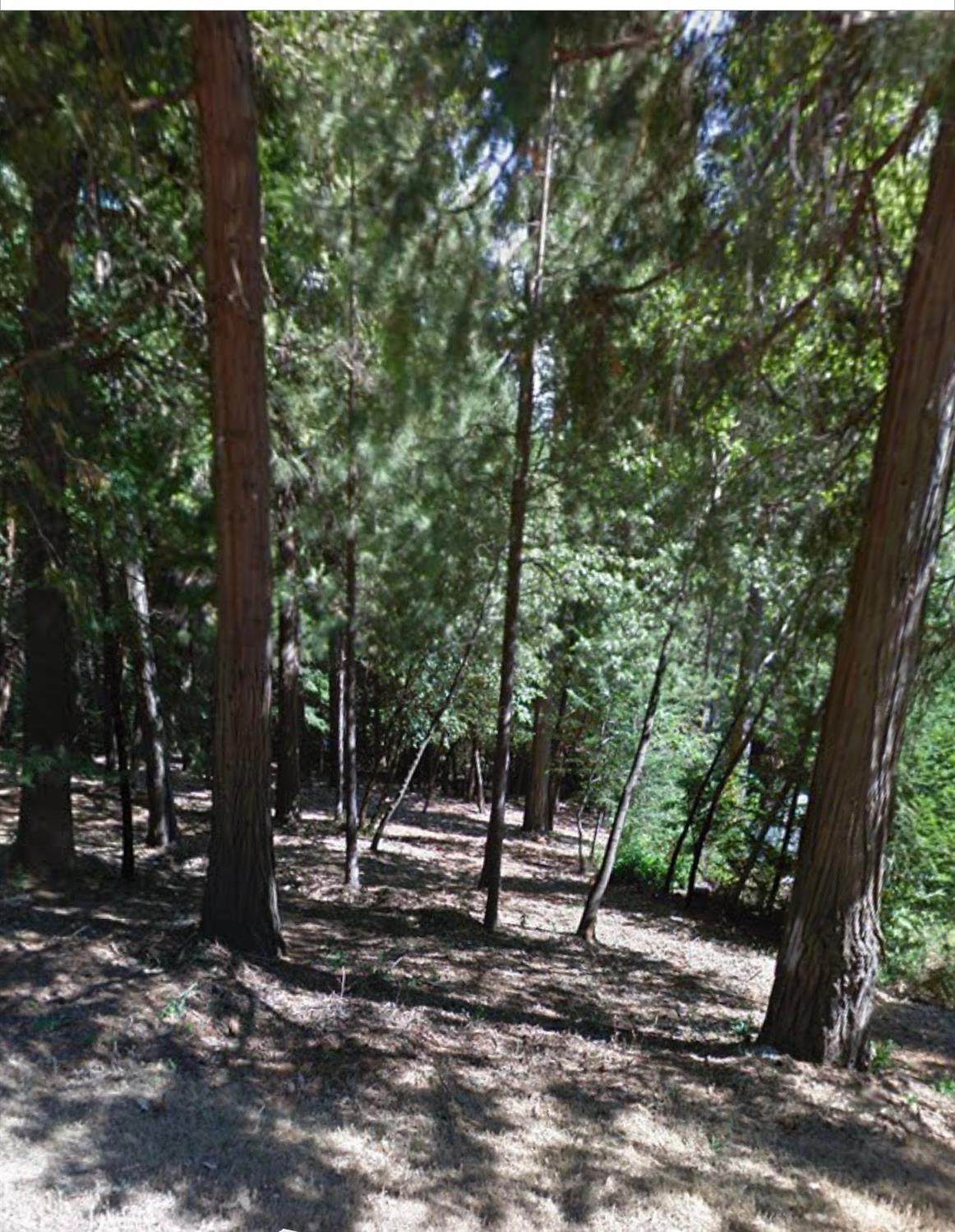 5147 Cold Springs Drive - Photo 1