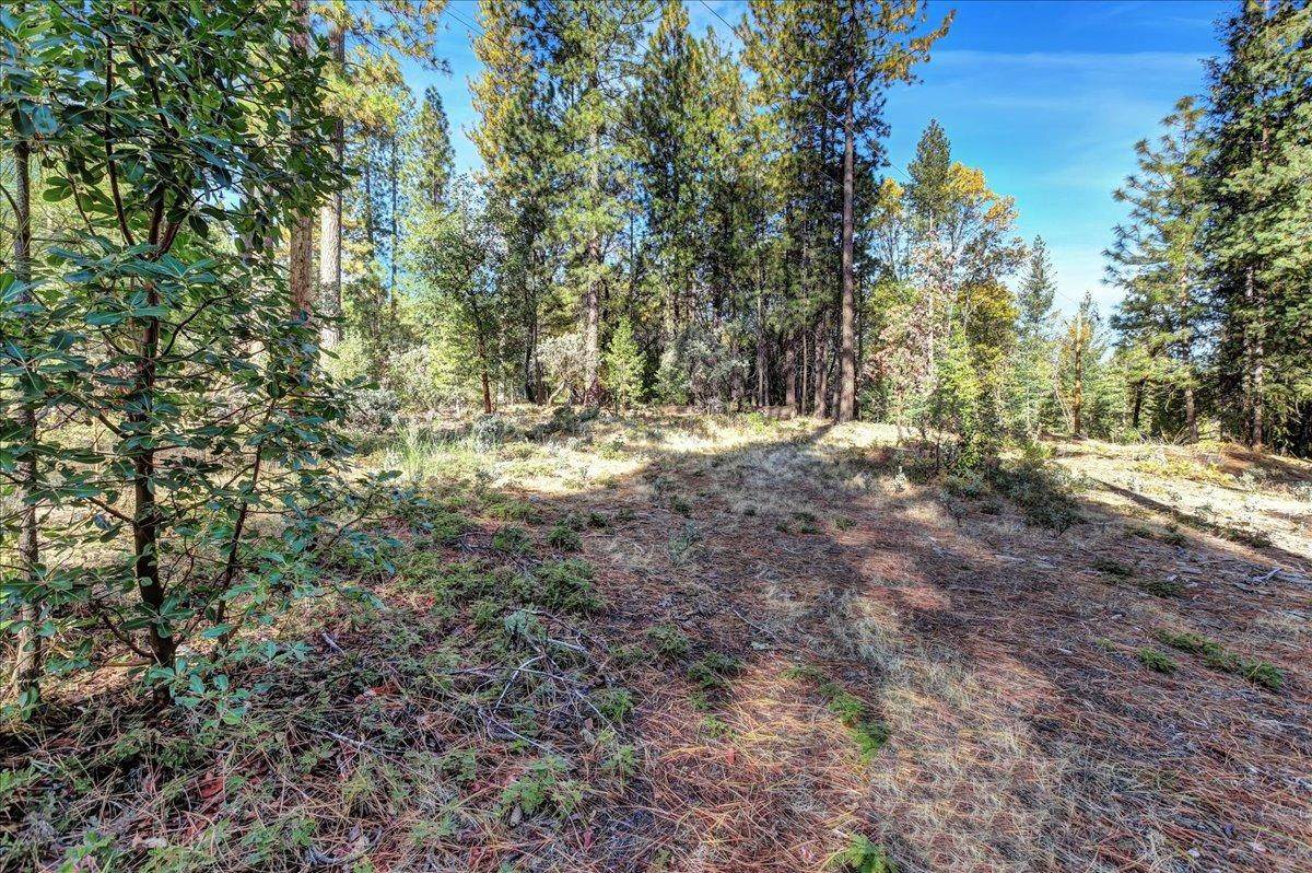 17769 Coathanger Cross Road - Photo 1