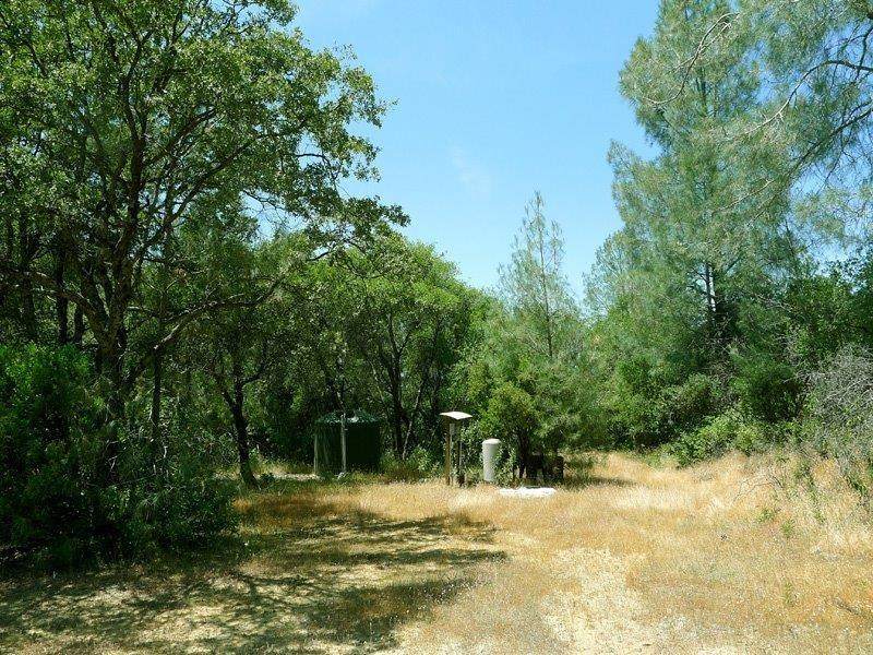 13819 Mcmenamin Way - Photo 1