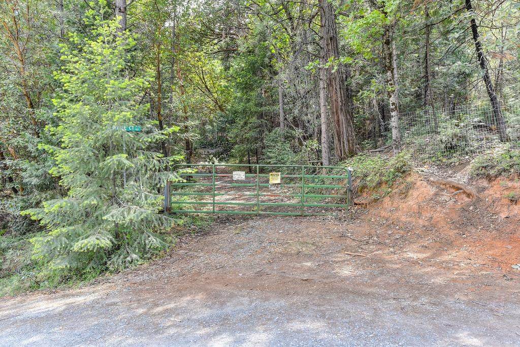 0 Raintree Road - Photo 1