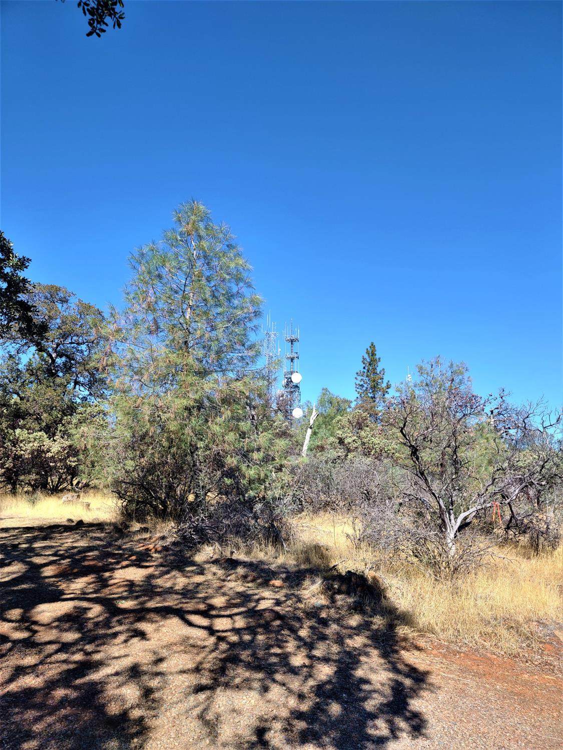 17878 Satellite Drive - Photo 1