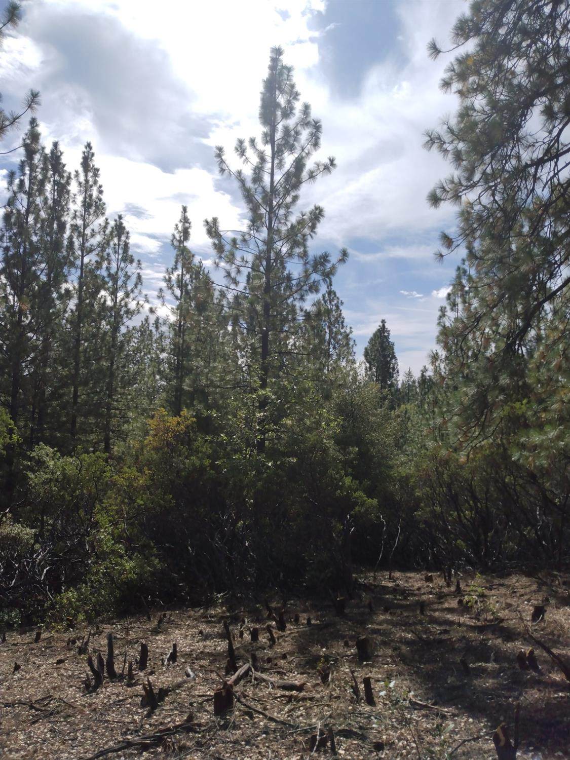 0 Railroad Easement - Photo 1