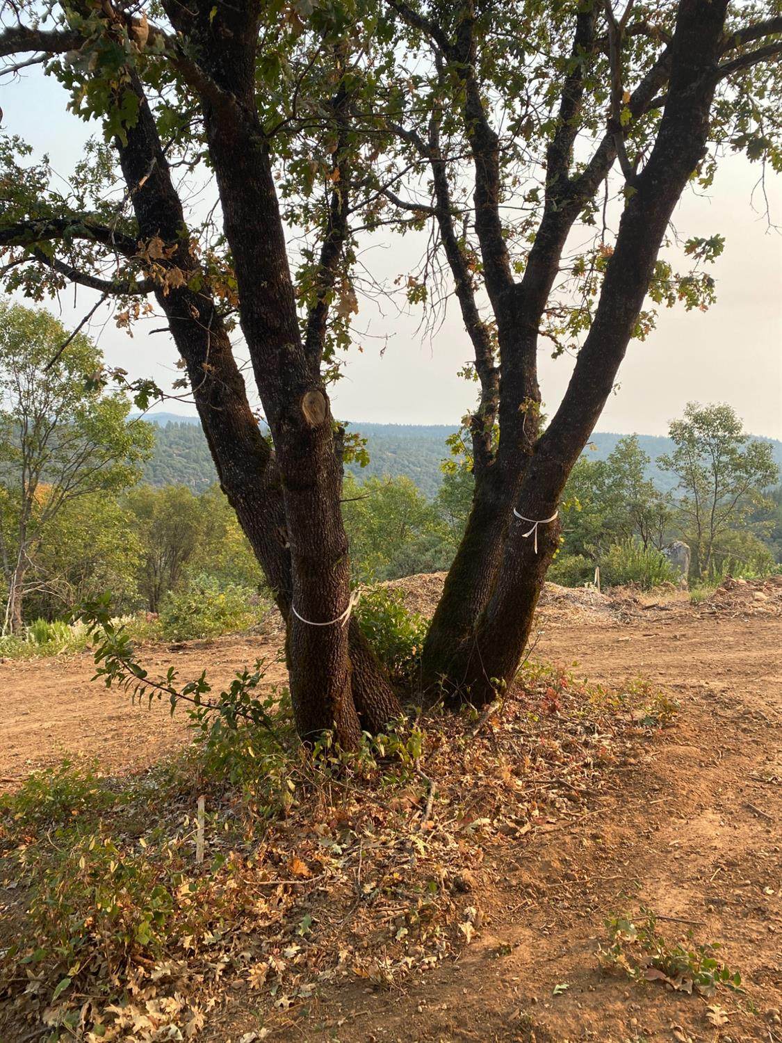 8343 Mosquito Road - Photo 1