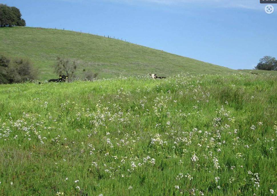 9065 Wise Road - Photo 1