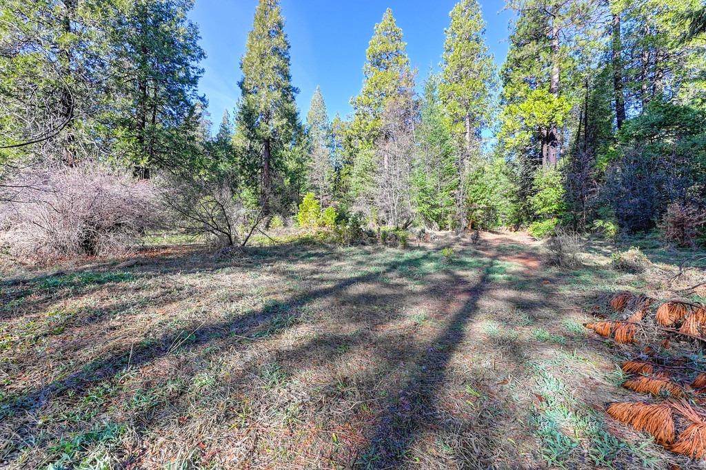8861 Wentworth Springs Rd - Photo 1