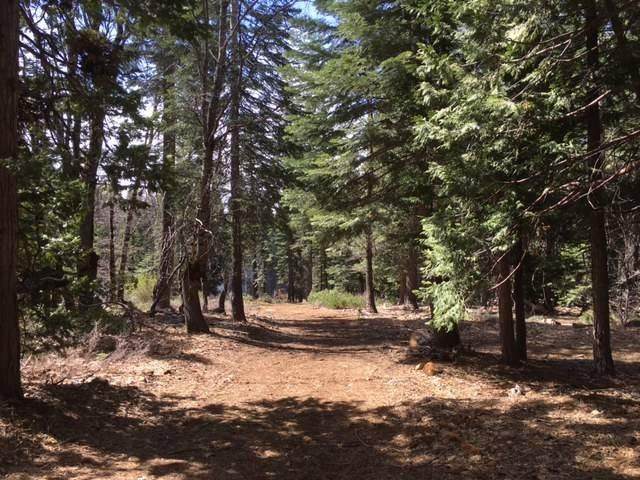 16070 Ophir Silver Road - Photo 1