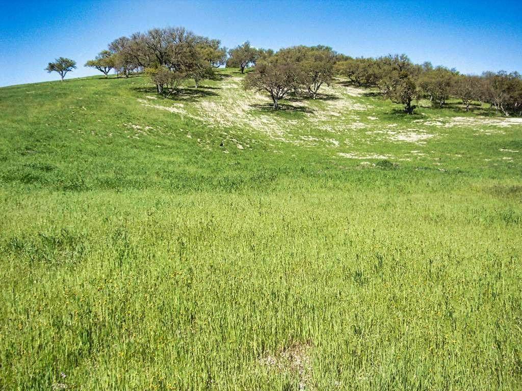 55625 Country Lake Drive - Photo 1
