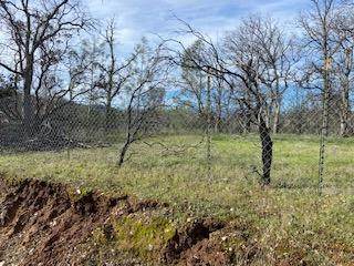 15942 Mendocino Drive - Photo 1