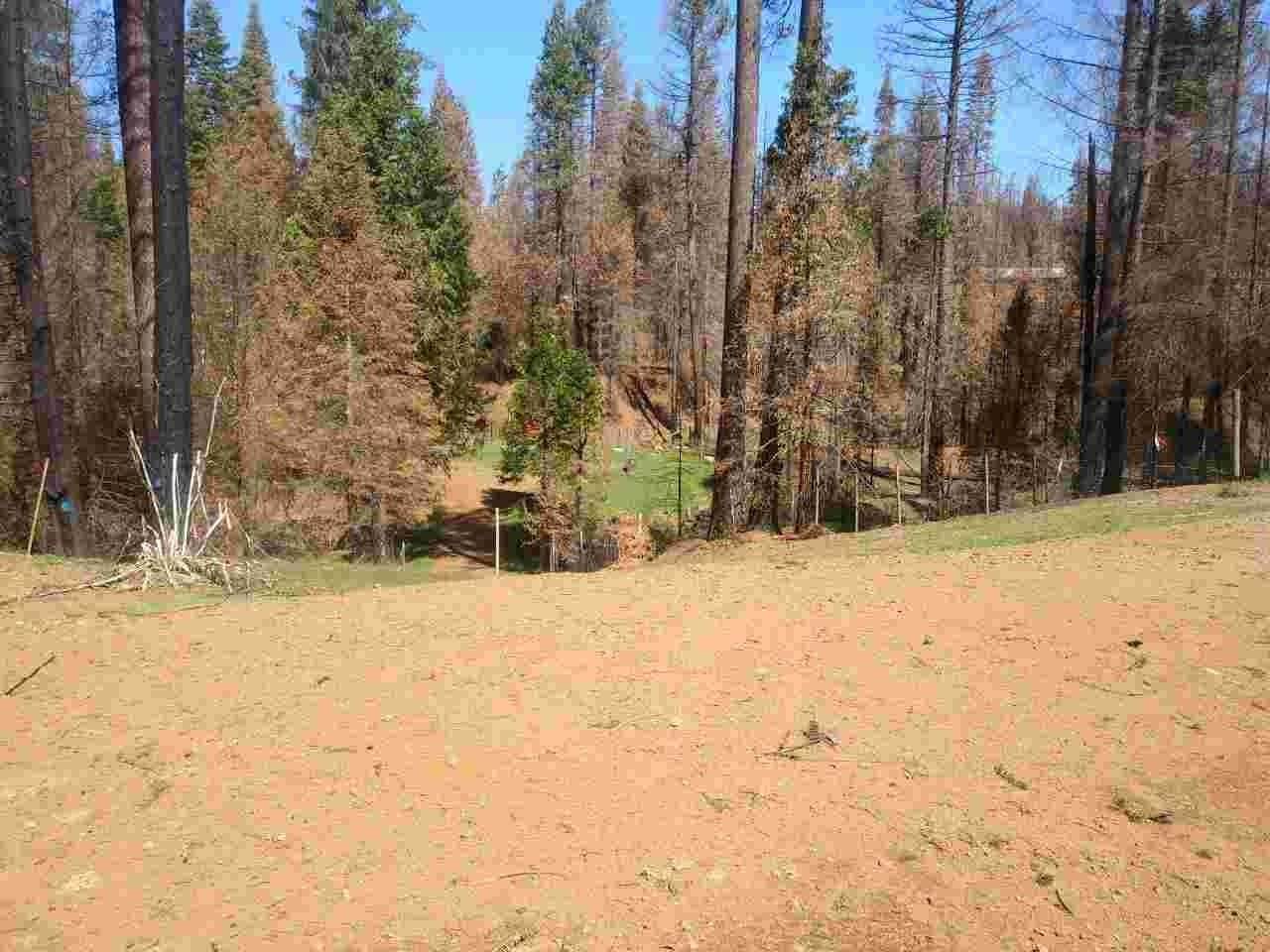 4684 Sciaroni Road - Photo 1