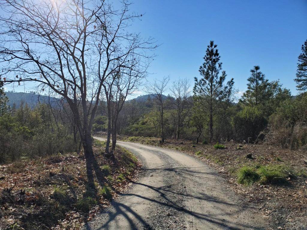 14411 Kodama Road - Photo 1