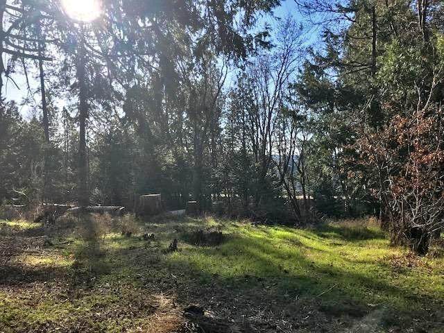 5130 Pony Express Trail - Photo 1