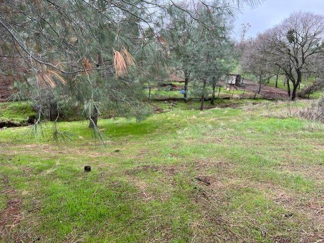 8108 Westhill Road - Photo 1