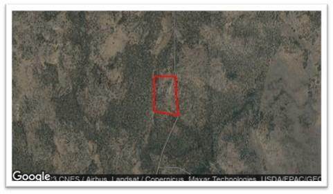 0 Spring Trail - Photo 1