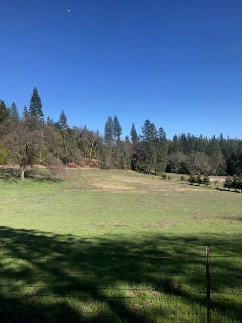 14400 Pine Grove Volcano Road - Photo 1