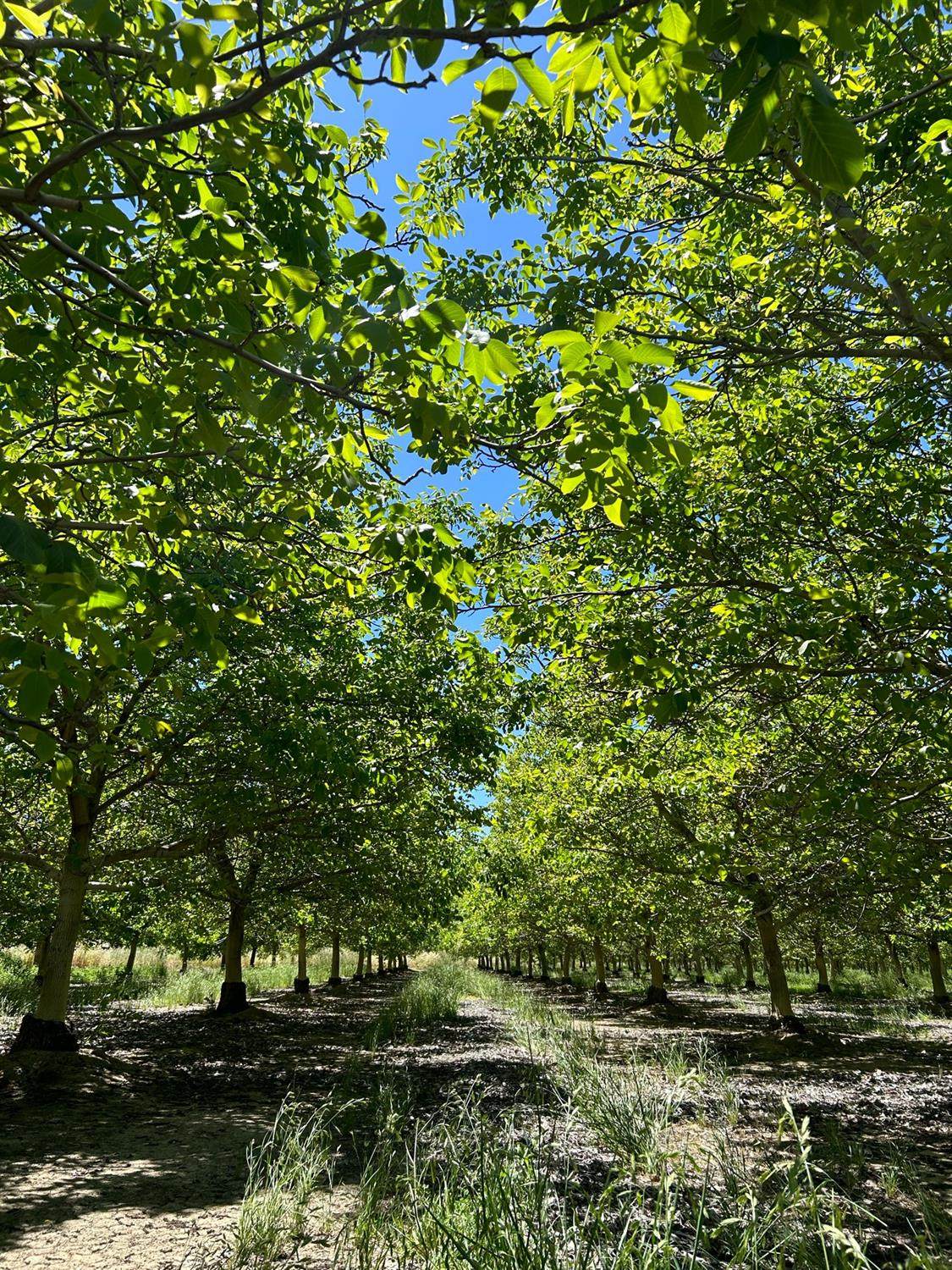 0 Highway 45 - Photo 1