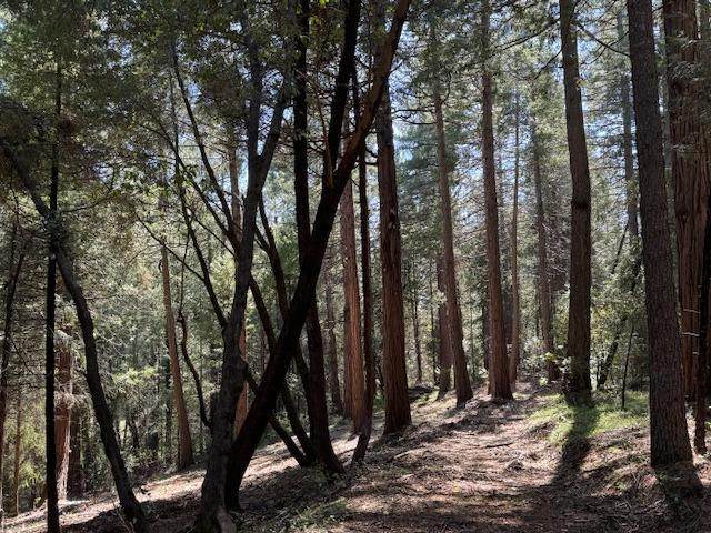 0 Gold Creek Trail - Photo 1
