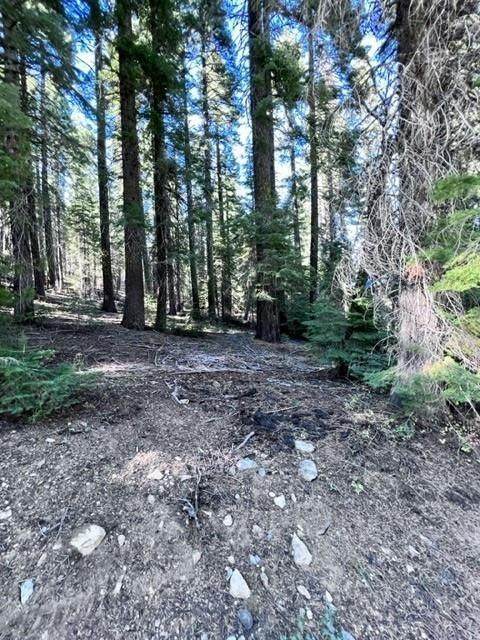 101 Snowshoe Lane - Photo 1