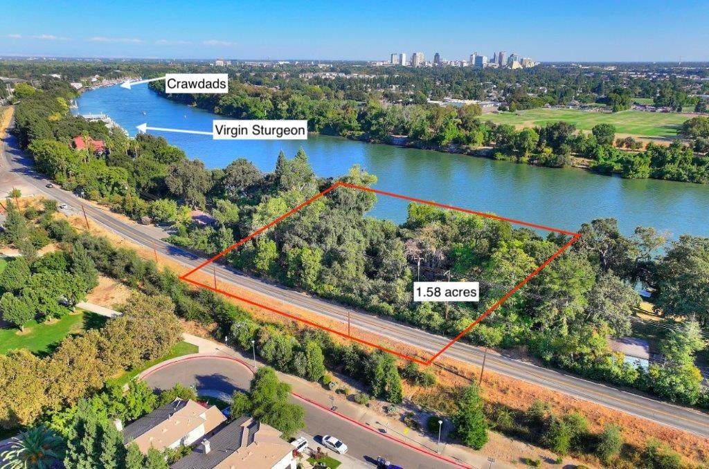 0 Garden Highway - Photo 1