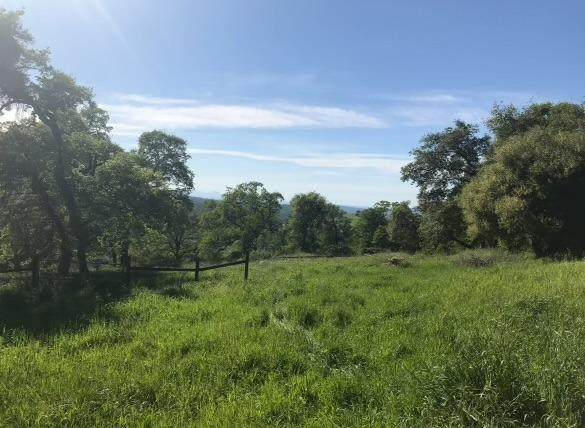 0 Levi Ct. - Photo 1