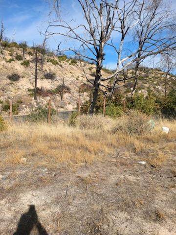 1364 Lumpkin Road - Photo 1