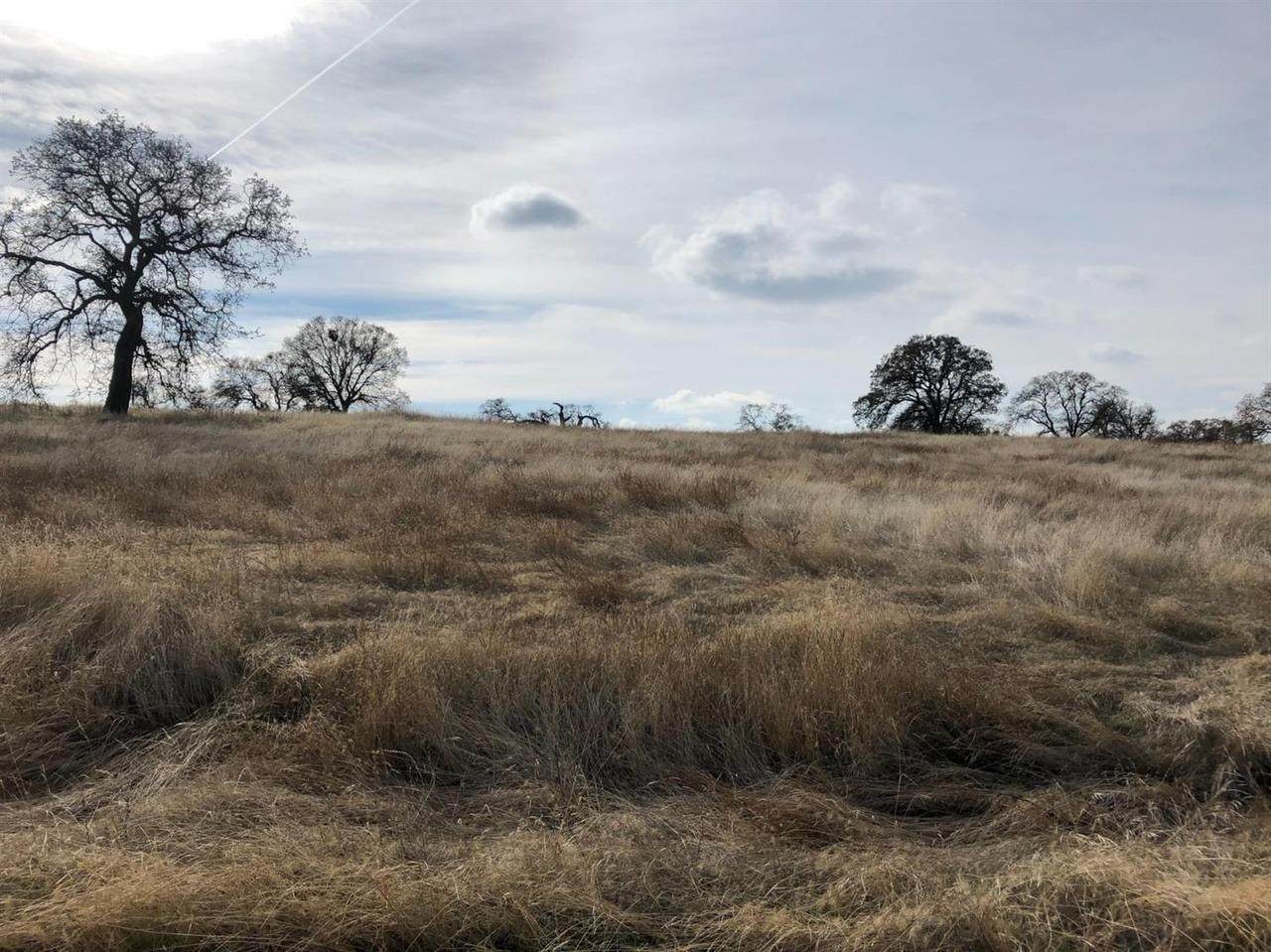 5020 Avendia Lugo - Photo 1