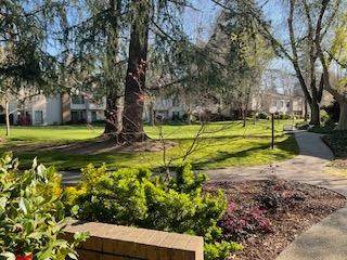https://bt-photos.global.ssl.fastly.net/sacramento/orig_boomver_1_560818562-2.jpg