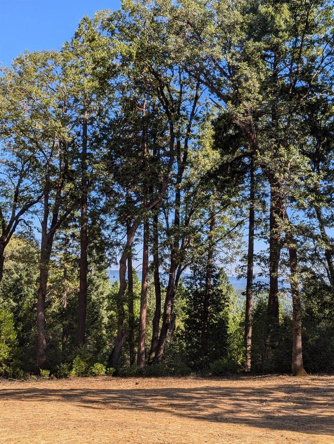 13625 Pegasus Place - Photo 1