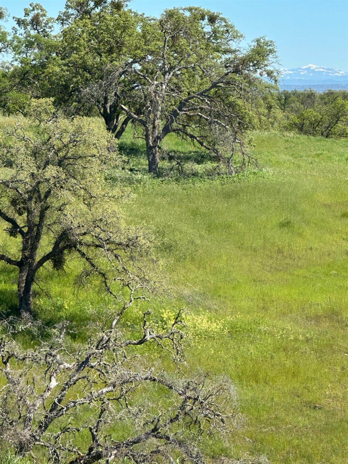 49 Cormorant - Photo 1