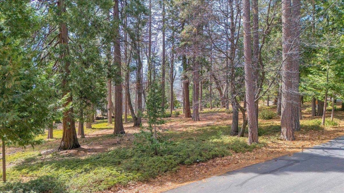 5556 Wylderidge Drive - Photo 1