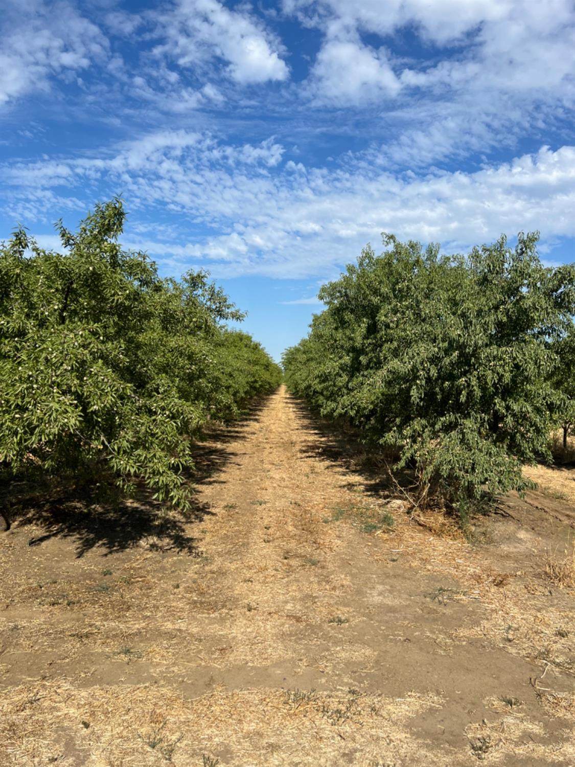 4261 Clausen Road - Photo 1