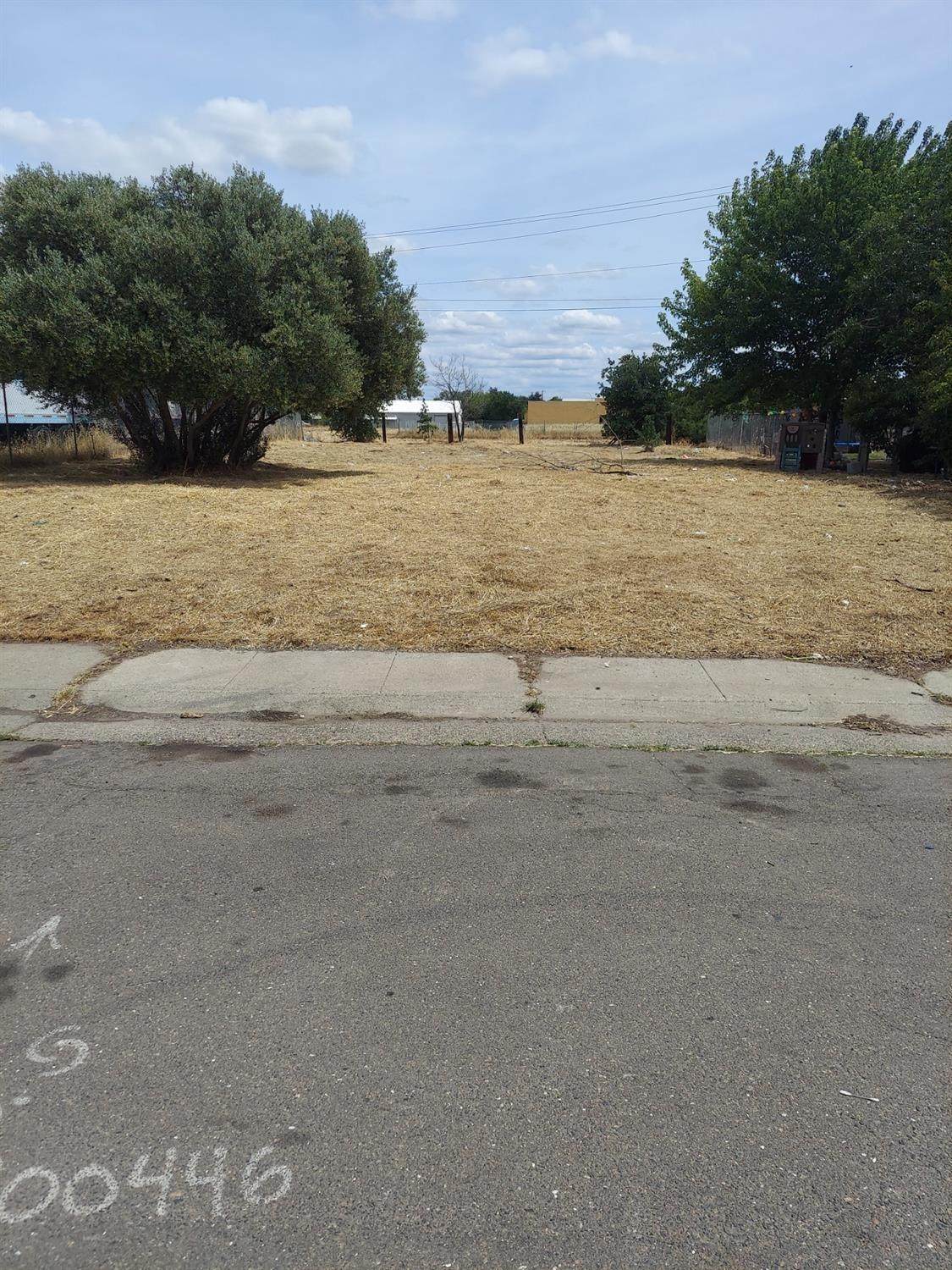 0 Bacchini Avenue - Photo 1