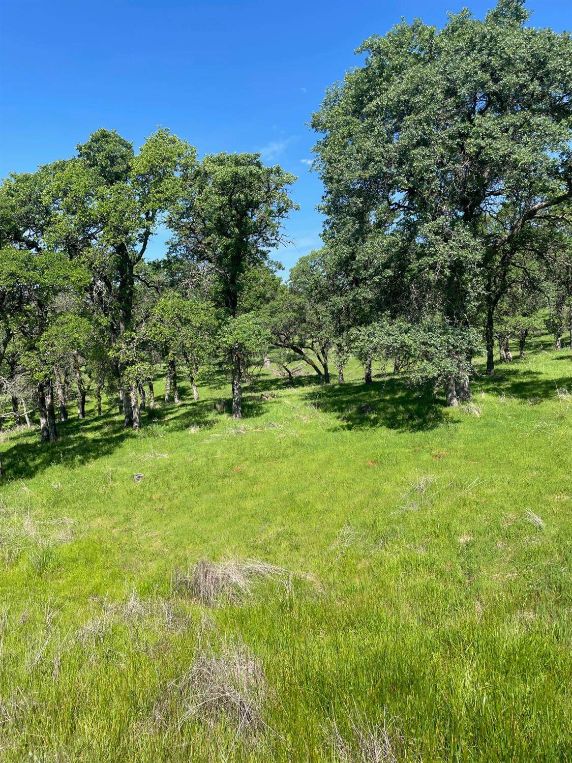 0 Oak Grove Court - Photo 1