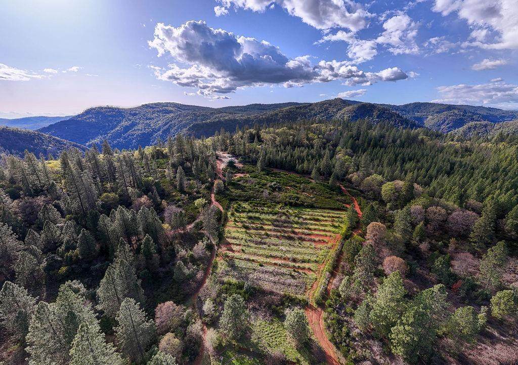 10571 Sebastopol Road - Photo 1