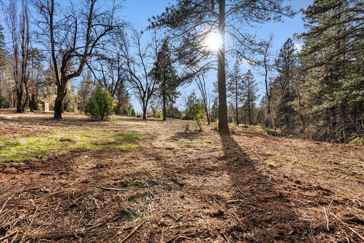 15300 Tyler Foote Road - Photo 1