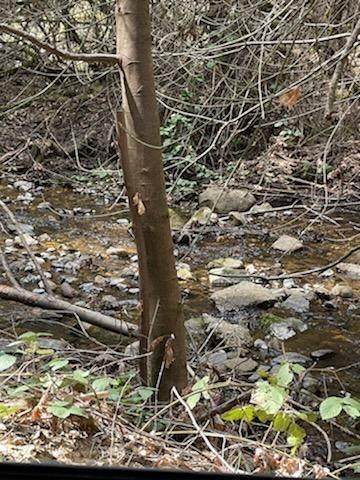 18111 Old Mill Road - Photo 1